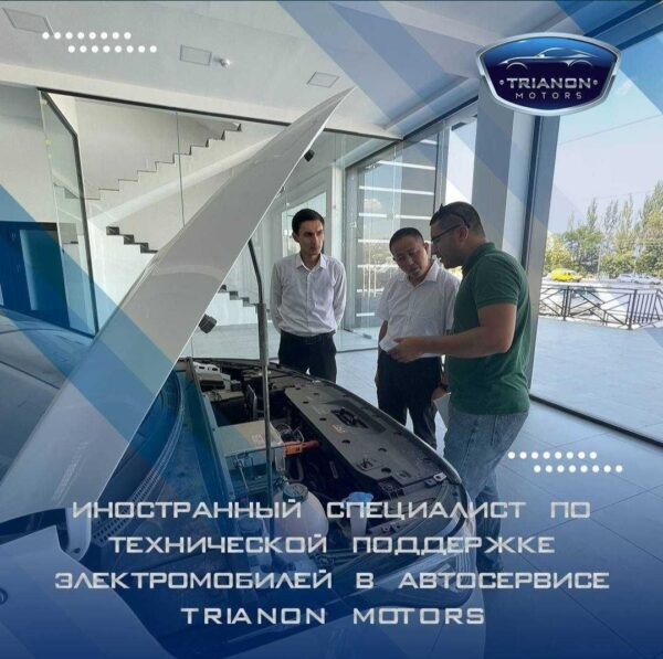 Сергили тумани Trianon Motors